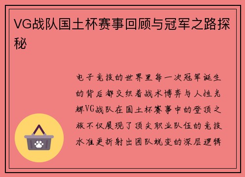 VG战队国土杯赛事回顾与冠军之路探秘