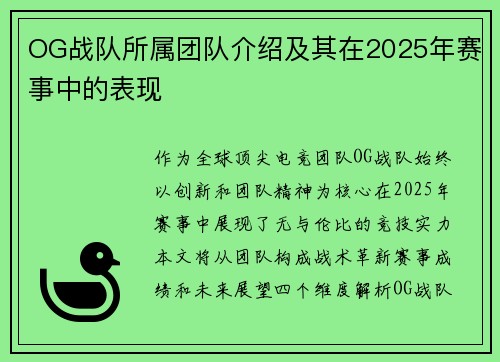 OG战队所属团队介绍及其在2025年赛事中的表现